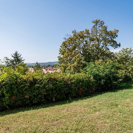 Le Nichoir De La Colline - Parking & Wifi Apartment Obernai Bagian luar foto