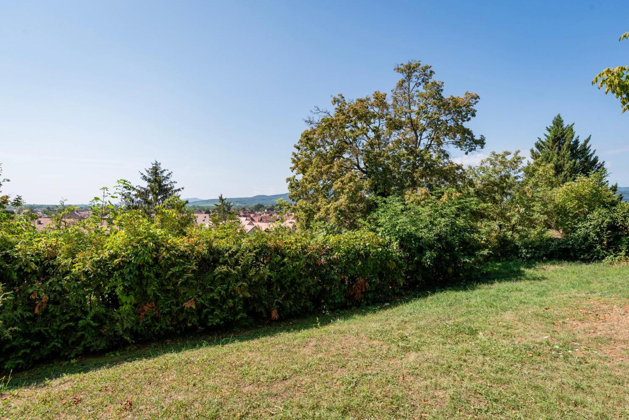 Le Nichoir De La Colline - Parking & Wifi Apartment Obernai Bagian luar foto